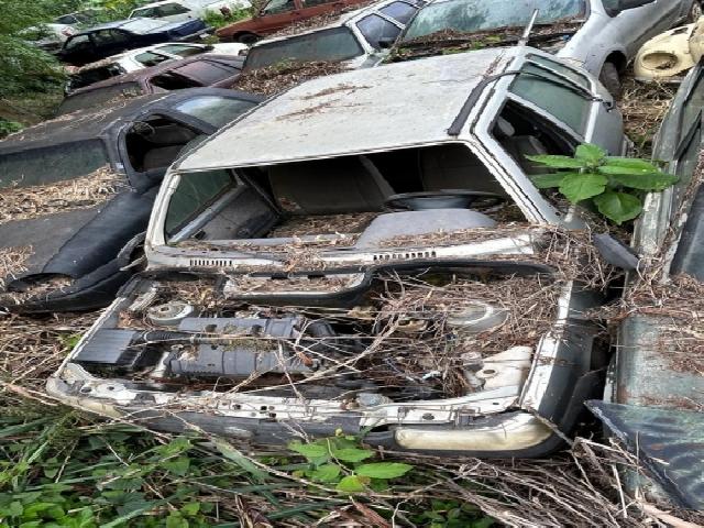 Lote 99 · Fiat/Uno Mille Fire 2005 — Sucata