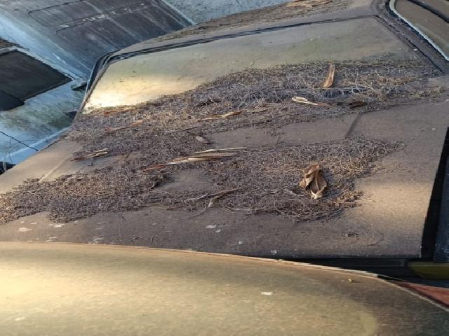 Lote 31 · VW/SANTANA CD 1986 — sucata